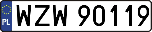 WZW90119