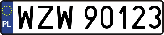WZW90123