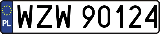 WZW90124