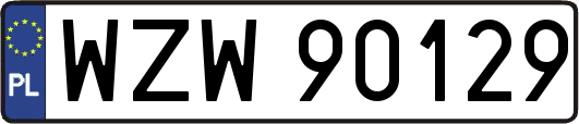 WZW90129