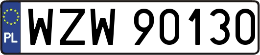 WZW90130