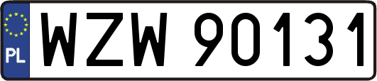 WZW90131