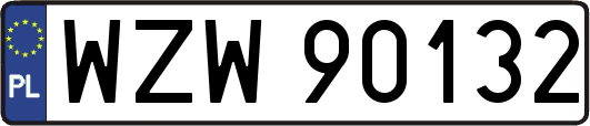 WZW90132