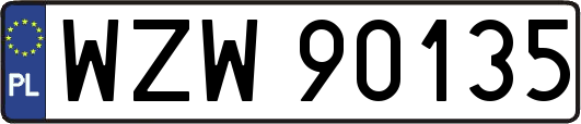 WZW90135