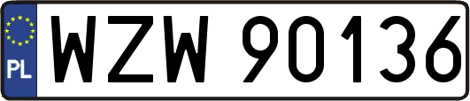 WZW90136