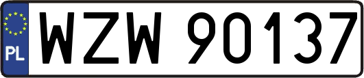 WZW90137