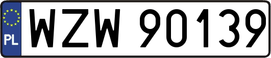 WZW90139