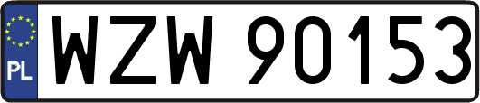 WZW90153
