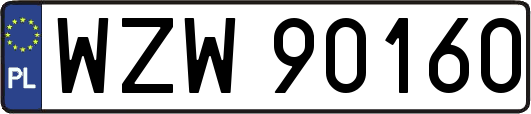WZW90160