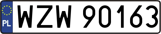 WZW90163