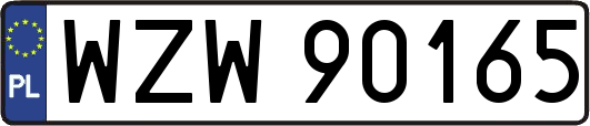 WZW90165
