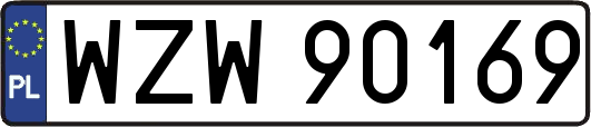 WZW90169