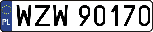 WZW90170