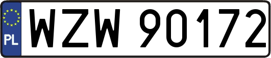 WZW90172