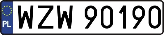 WZW90190