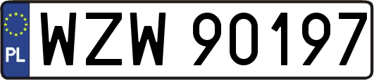 WZW90197