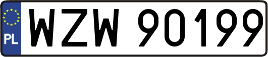 WZW90199