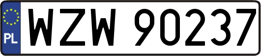 WZW90237