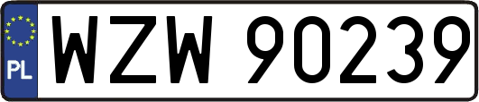 WZW90239