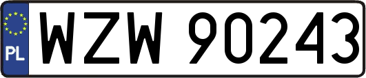 WZW90243
