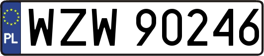 WZW90246