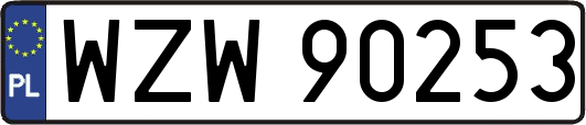 WZW90253