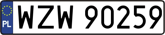 WZW90259