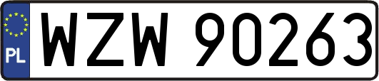 WZW90263