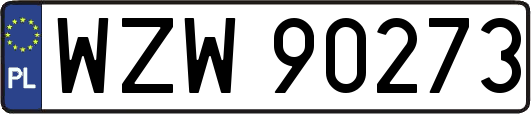 WZW90273
