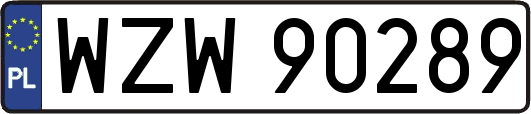 WZW90289