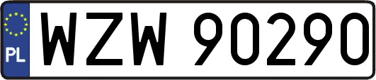 WZW90290