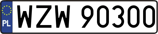 WZW90300
