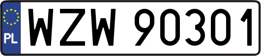 WZW90301