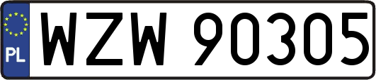 WZW90305