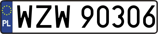 WZW90306