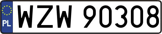 WZW90308