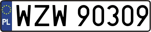 WZW90309