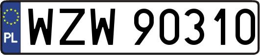 WZW90310