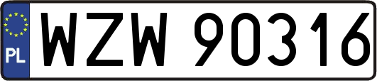 WZW90316