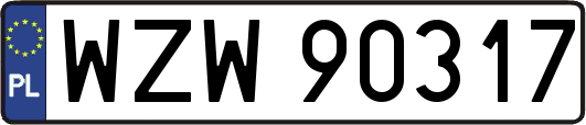 WZW90317