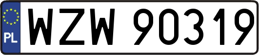 WZW90319