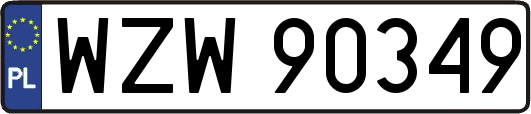 WZW90349