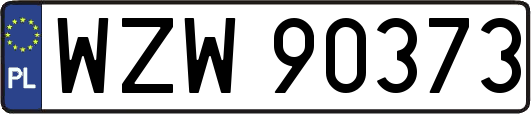 WZW90373