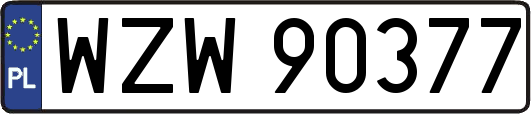 WZW90377