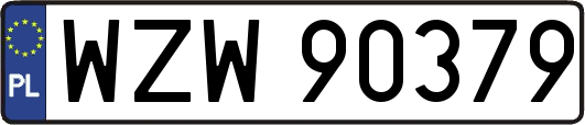 WZW90379