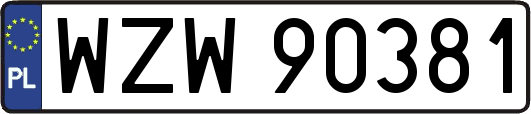 WZW90381