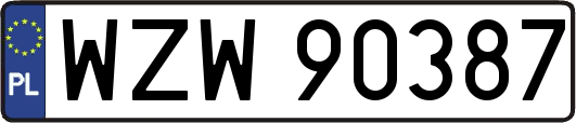 WZW90387