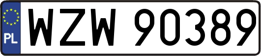 WZW90389