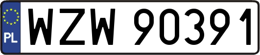 WZW90391