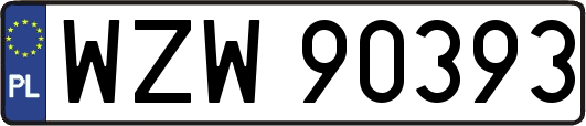 WZW90393